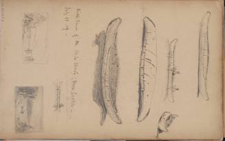 Birch Canoes of the Mic Mac's, Nova Scotia, July 15, 1859, from the Nova Scotia and New Hampshire Subjects Sketchbook