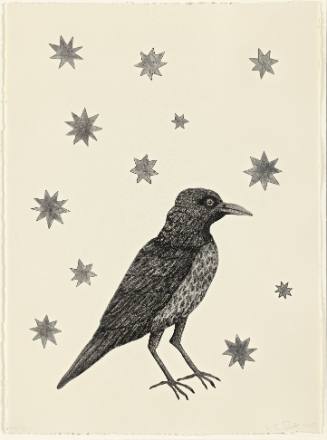 Bird with Stars