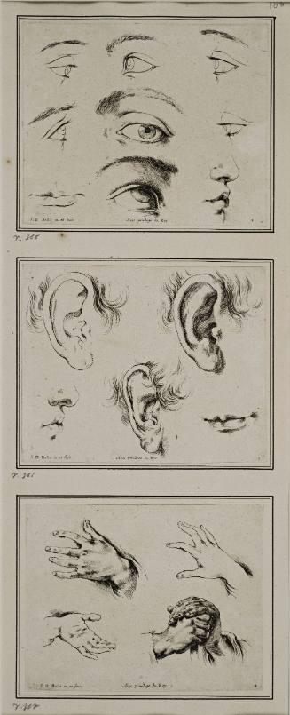 Studies of eyes, ears, mouth, nose and hands