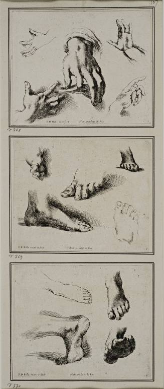 Studies of hands and feet