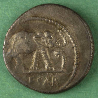 denarius, Roman Republic, 49-48 BCE