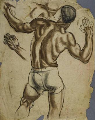 Untitled (The back of muscular young man throwing a ball.)