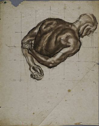 Untitled (Muscular back and side profile of a young man. Both arms crossed behind his back.)