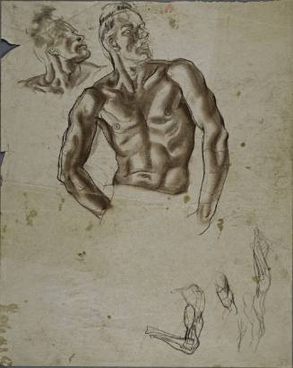 Untitled (Frontal view of muscular man from waist up. Studies of head and neck, arm and leg.)