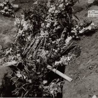 Flowers for the Dead II, Mazatlan, Mexico