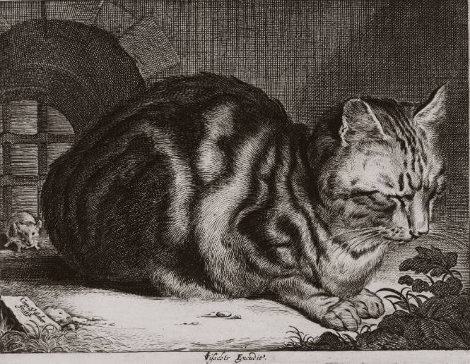 The Large cat, a mouse at left