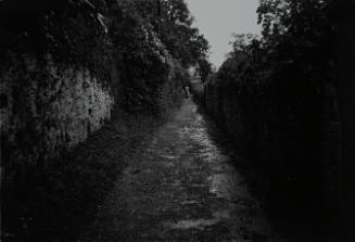 Path Leading to Dylan Thomas' House, Laugharne, Wales