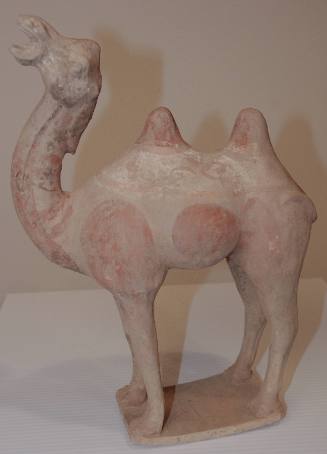 Small Bactrian Camel