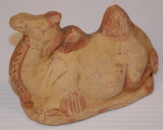 Small Recumbent Camel
