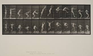 Jumping, Standing High Jump, plate 161 from Animal Locomotion