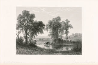 Landscape with Cows or A Glimpse in New Hamphire