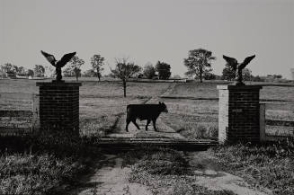 Farm Entrance, Kentucky