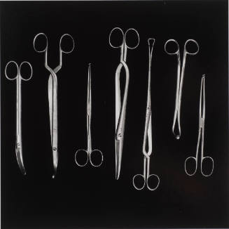 Surgical Scissors and Tenaculums, From 'Bones & Bell Jars: Photography of the Mutter Museum Collection'