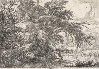 Isaack Ruisdael