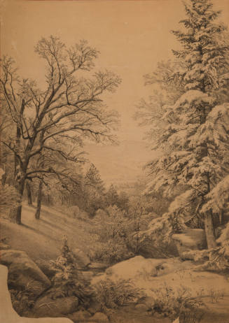 Winter woodlands scene