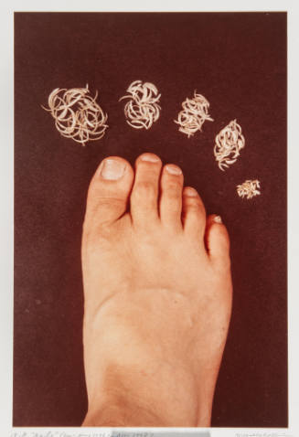 Nails (from May 1976 to May 1978)