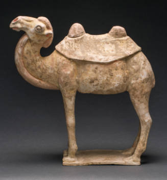 Large Bactrian Camel