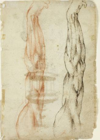 Two Studies of Arms