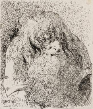 Old Man with a Beard and Long Hair, from Raccolta di Teste (The Series of Heads)