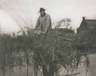 Cutting the Gladdon (from "Life and Landscape on the Norfolk Broads")