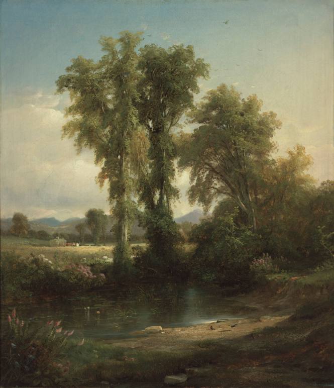 Meadows and Wild Flowers at Conway