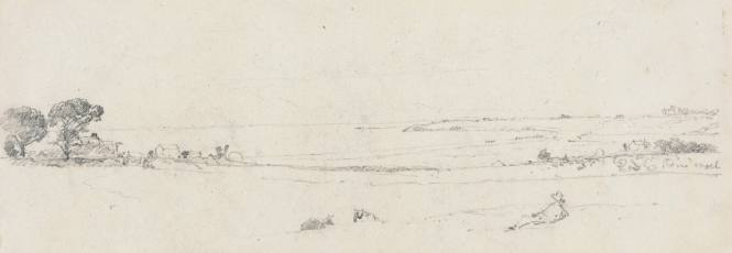 View from Mr. Field's Farm at Newport