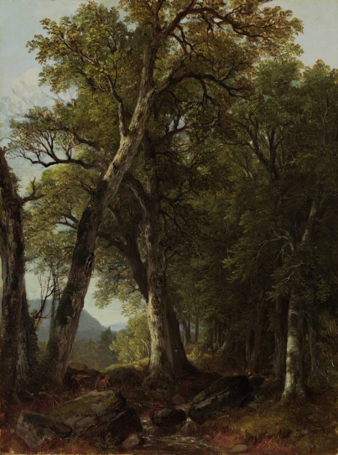 Through the Woods