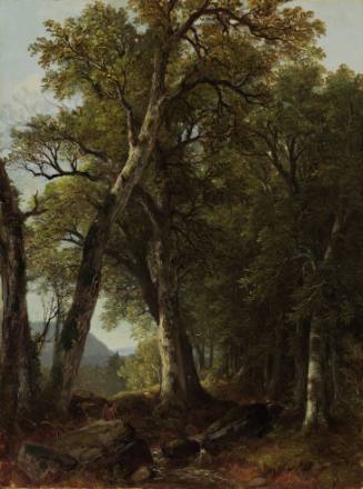 Through the Woods