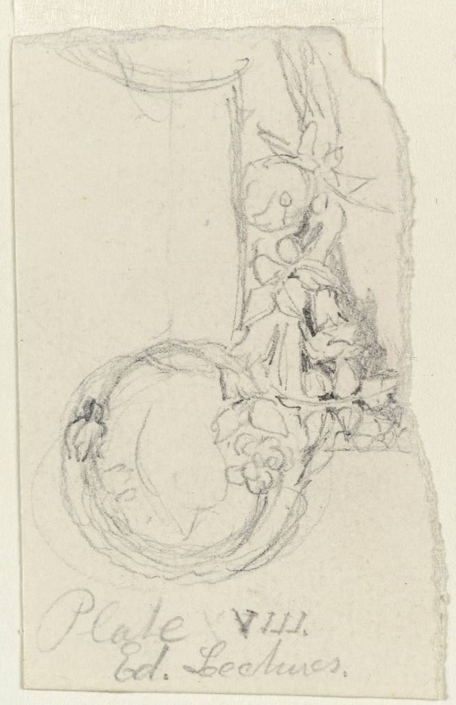 Plate VIII, Ed. Lectures