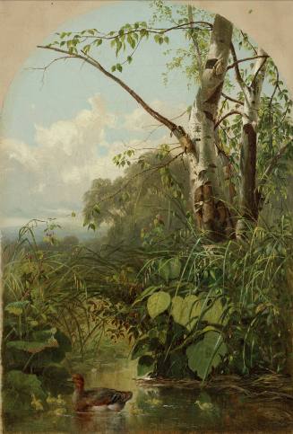 Nature's Nook