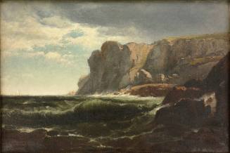 The Wild New England Shore