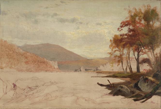 (The Wild New England Shore)