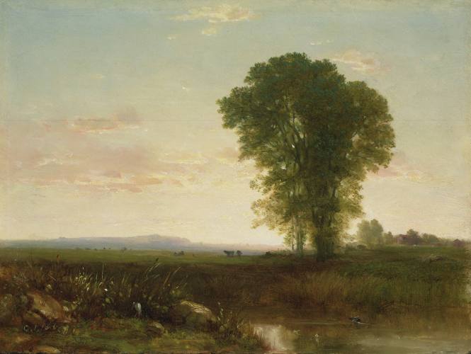 Evening in the Meadows