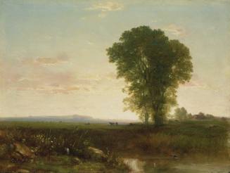 Evening in the Meadows