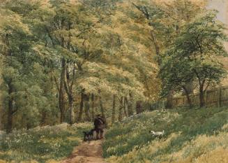 Spring, Woods and Wild Flowers
