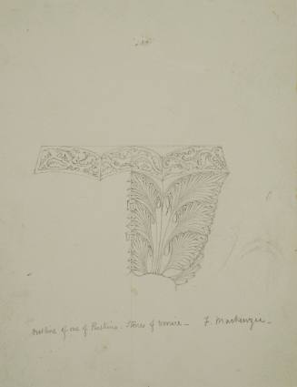 Outline of one of Ruskin's Stones of Venice