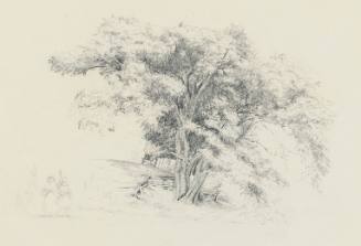 Figures Under a Tree
