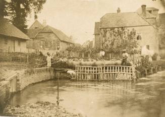 Farmyard Scene
