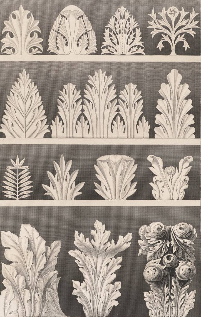 Acanthus Motifs