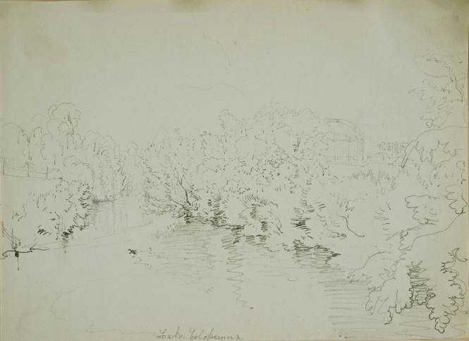 Lake Coluseum