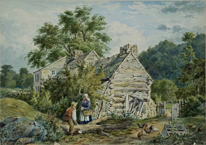 Farmyard scene