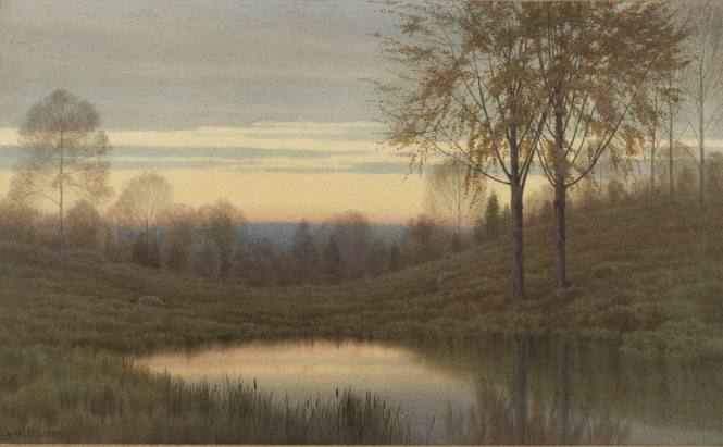Woods at Dusk