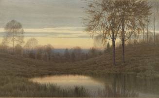 Woods at Dusk