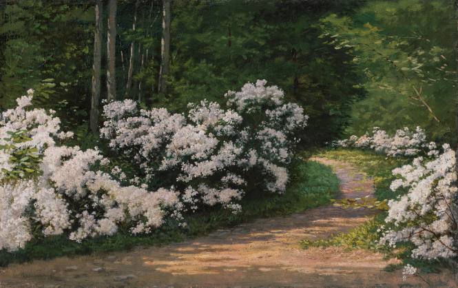The Laurel Path