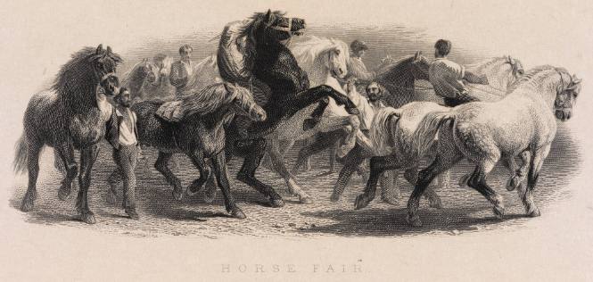 Horse Fair