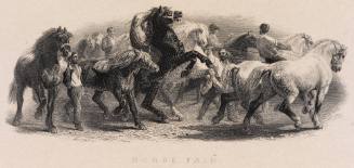 Horse Fair