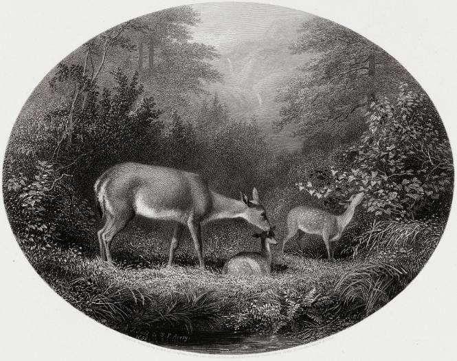 Maternal Affection, 1858