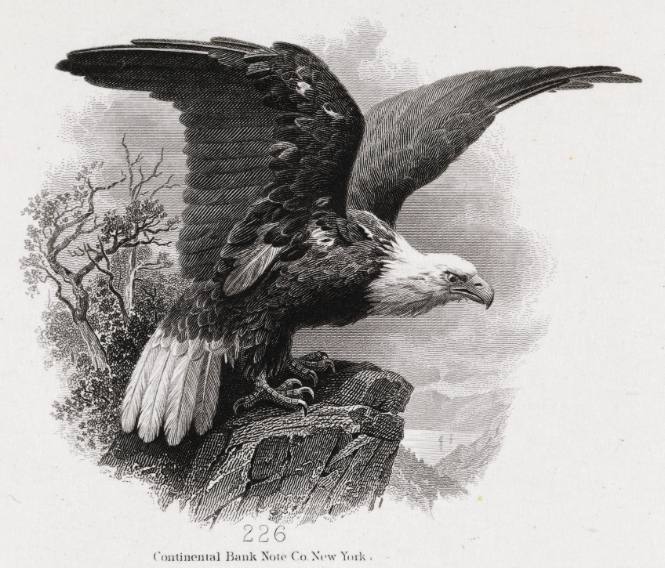 Eagle