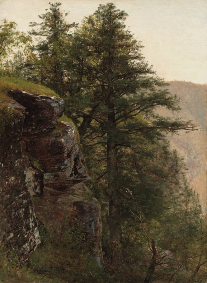 Rocks and Pines