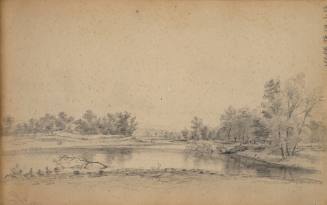 Water scene with ducks, between Rondout and Marbletown, New York, August 12, 1847, from the Marbletown, Catskills, Lake George Sketchbook